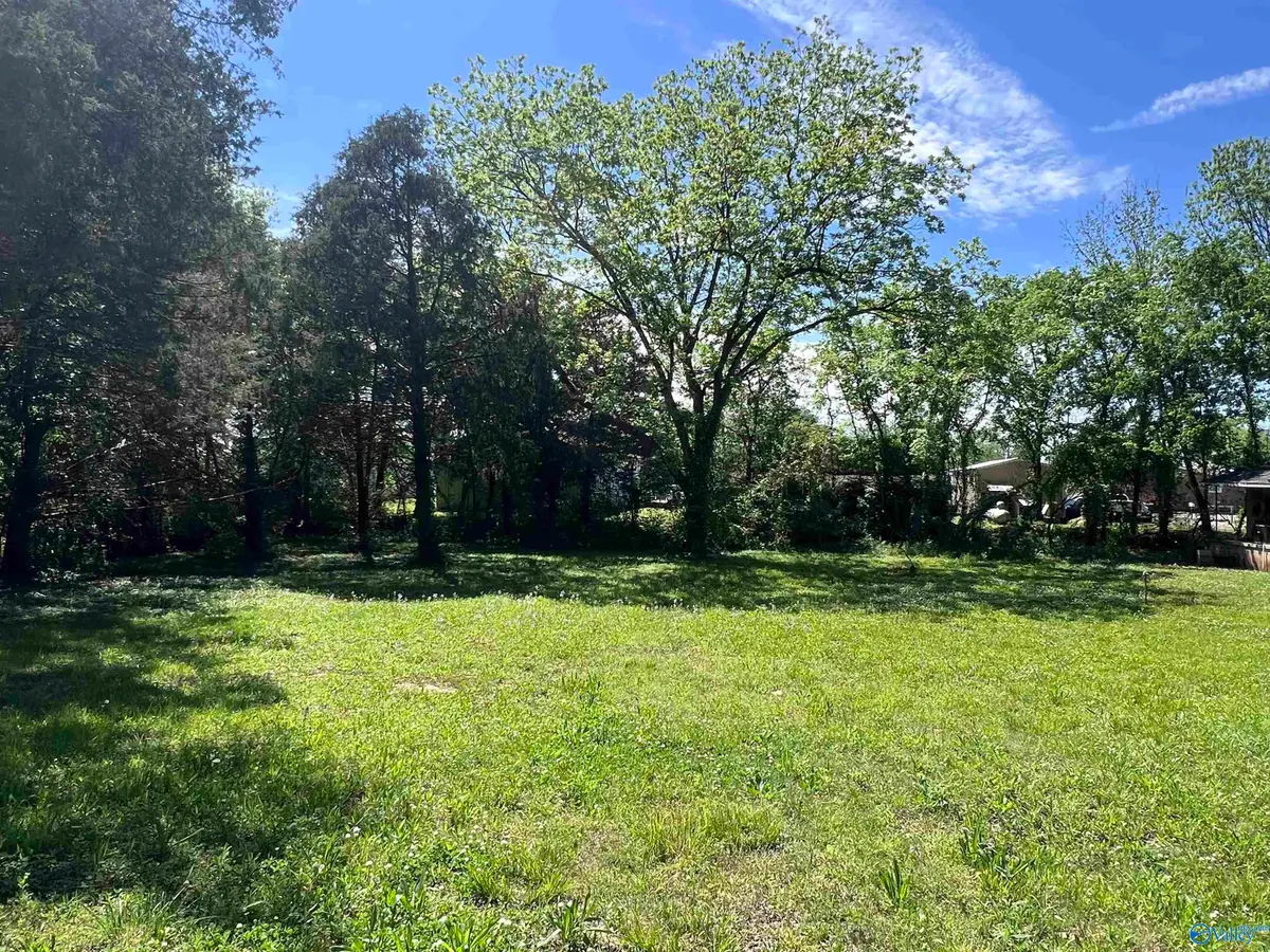 114 Spring Street, New Hope, AL 35760 - #1