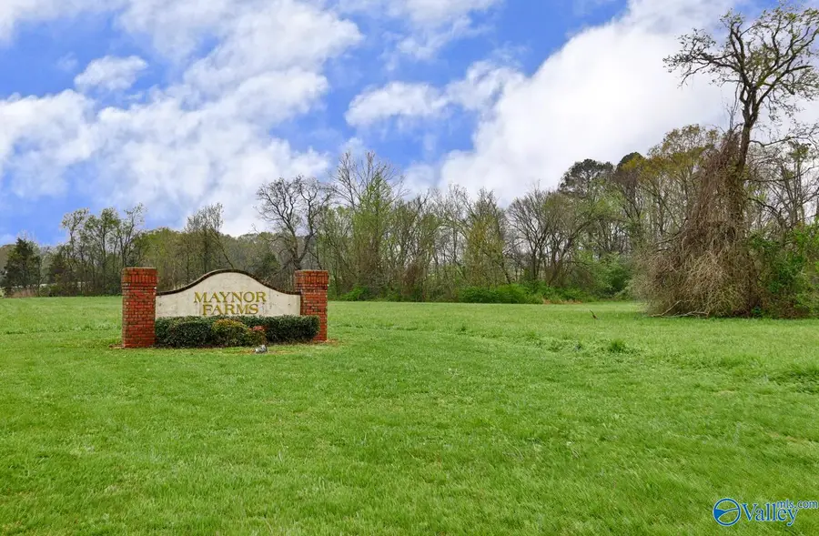 300 Berry Hollow Road, Gurley, AL 35748 - #3