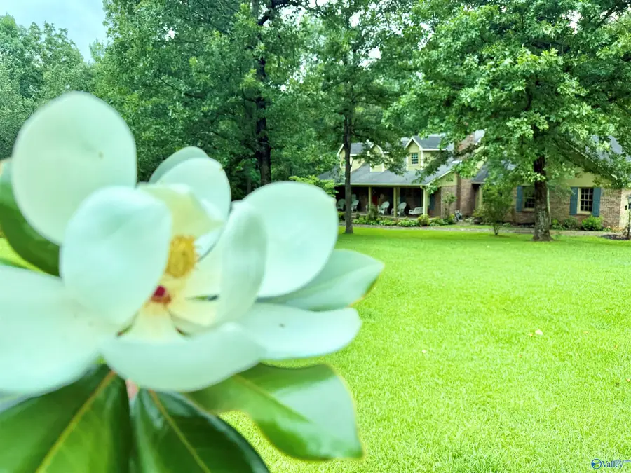 243 Lynnwood Circle, Decatur, AL 35603 - #3