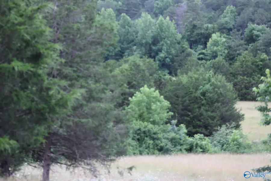 30 Ac Highway 11 N, Valley Head, AL 35989 - #2