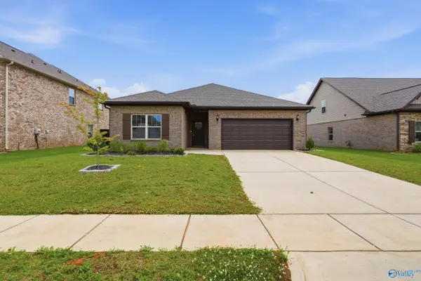 250 Paladin Street, New Market, AL 35761