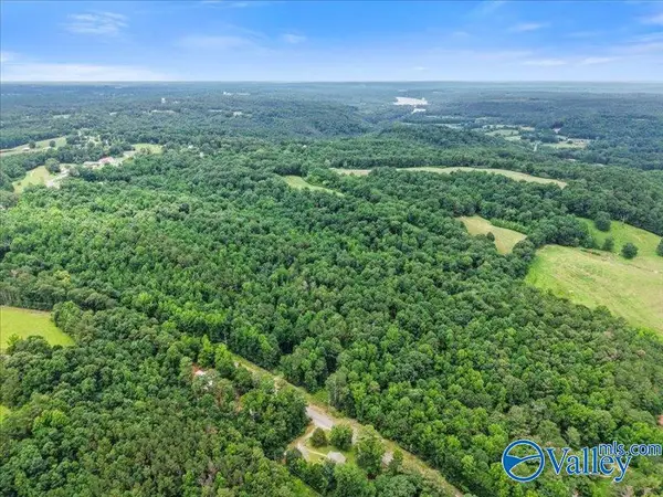 37.0 Acres County Road 940, Crane Hill, AL 35622