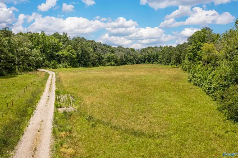11378 Us Highway 411, Gadsden, AL 35901 - #3