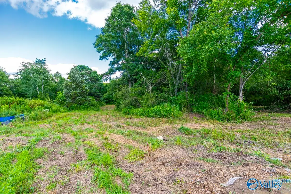 1641 Scott Road, Hazel Green, AL 35750 - #1