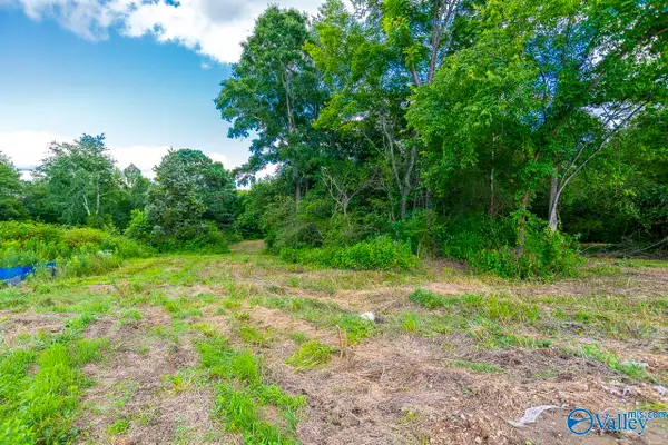1641 Scott Road, Hazel Green, AL 35750