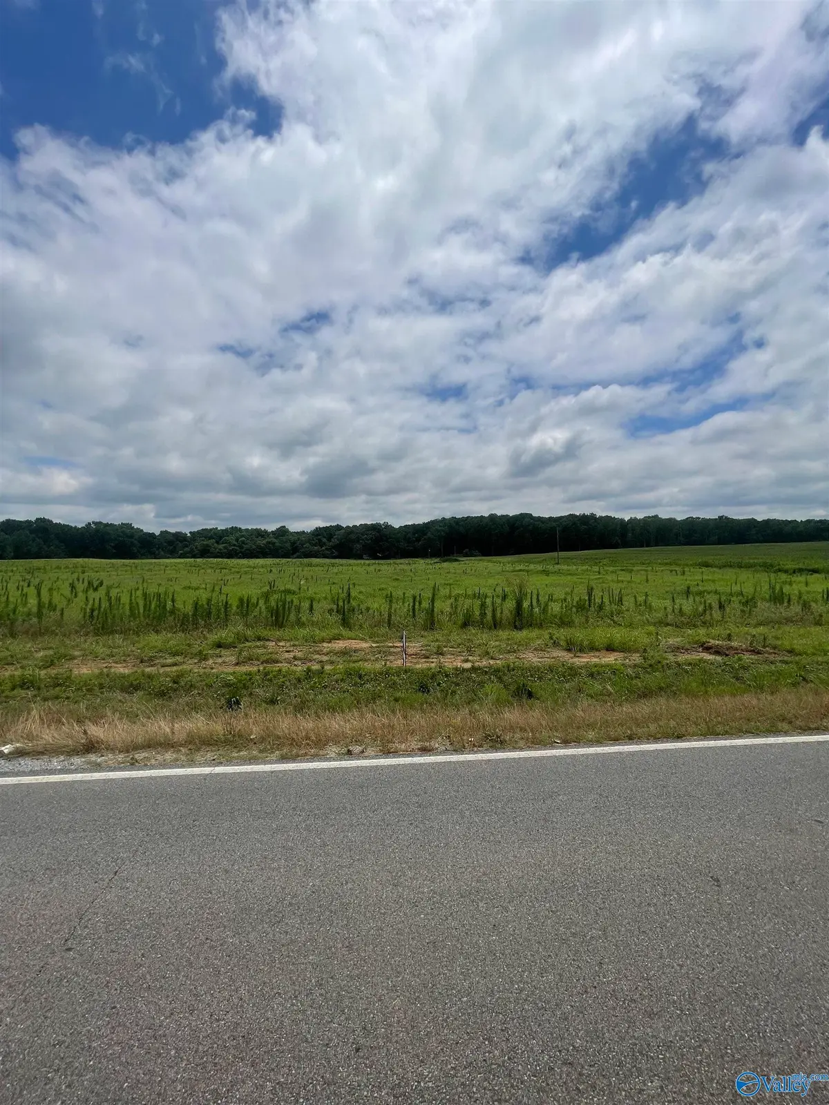 1 Ed Ray Road, Athens, AL 35611 - #1