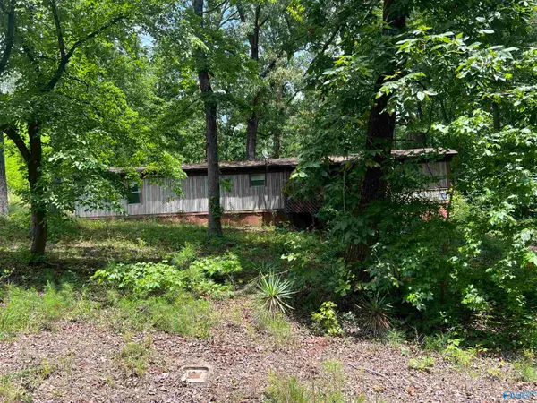 1790 Forest Green Road, Southside, AL 35907