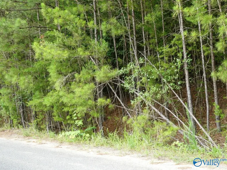 Lot 20 Arley Landing Drive, Arley, AL 35541 - #3
