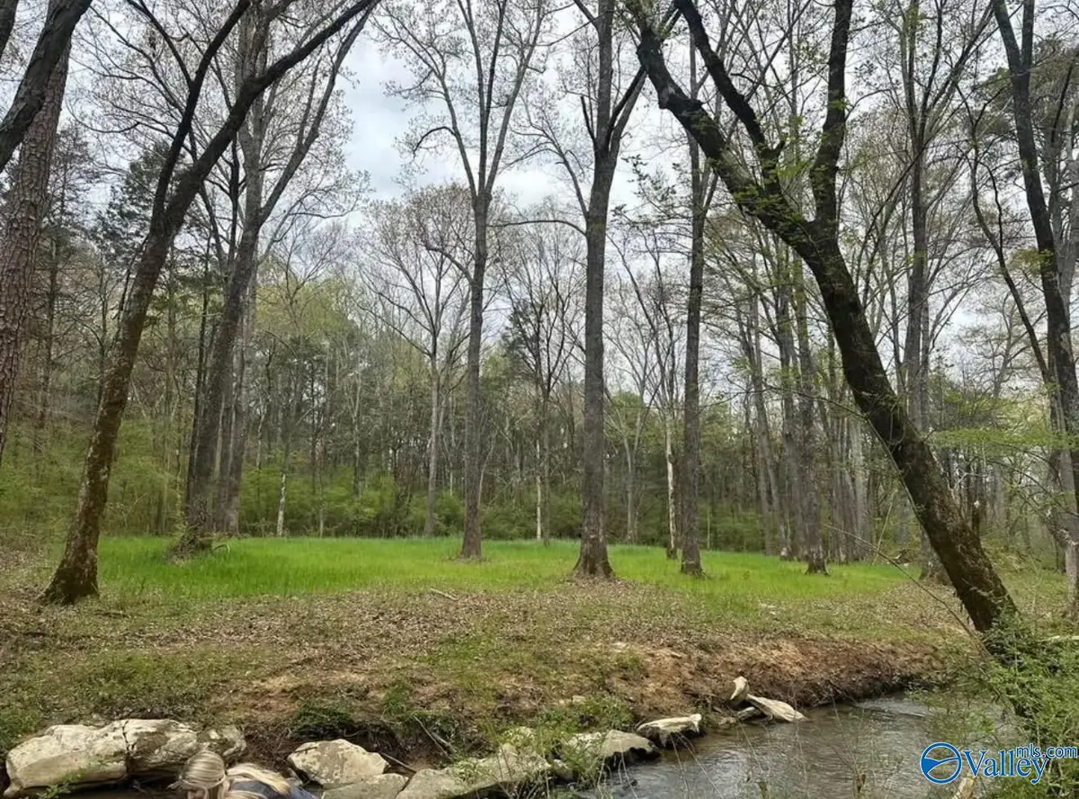 2703 Hwy 36 E, Hartselle, AL 35640 - #1