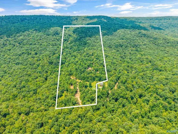 5493 County Road 4, Hollytree, AL 35741