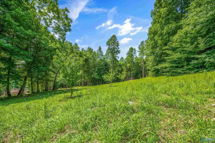 5493 County Road 4, Hollytree, AL 35741 - #3