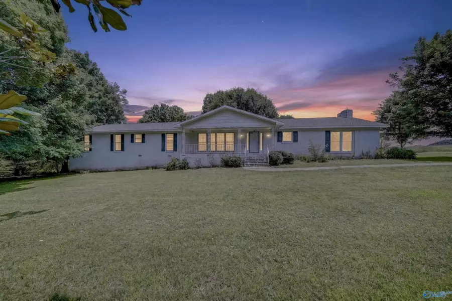 875 Mint Springs Road, New Market, AL 35761 - #2