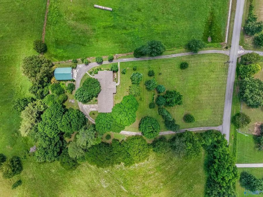 875 Mint Springs Road, New Market, AL 35761 - #3