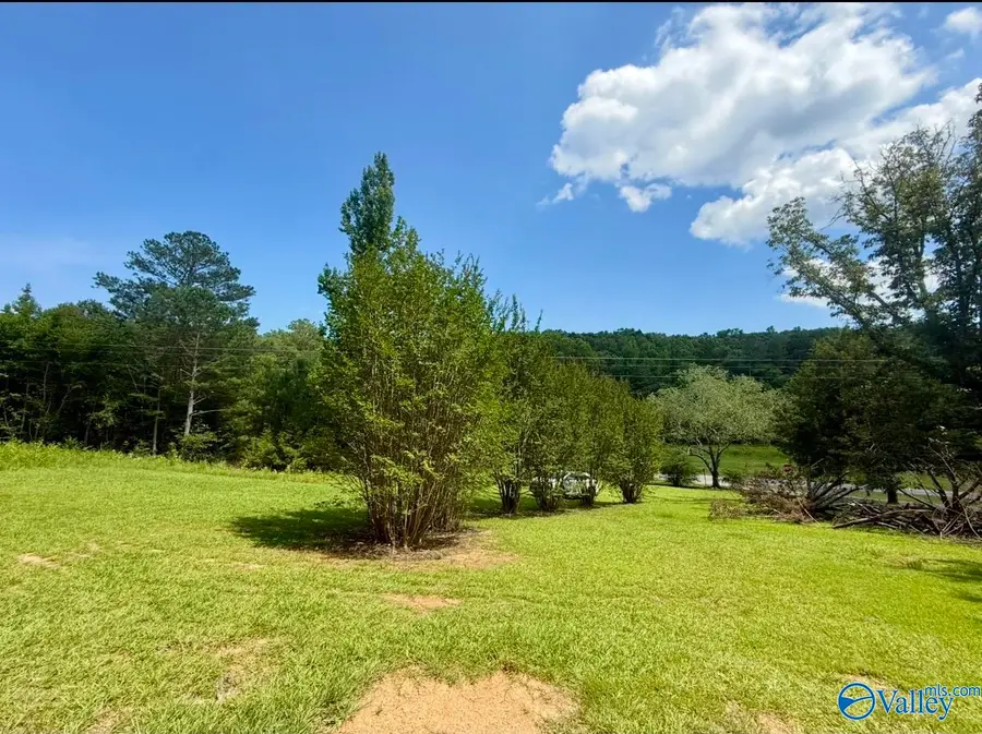 85 County Road 451, Cedar Bluff, AL 35959 - #3