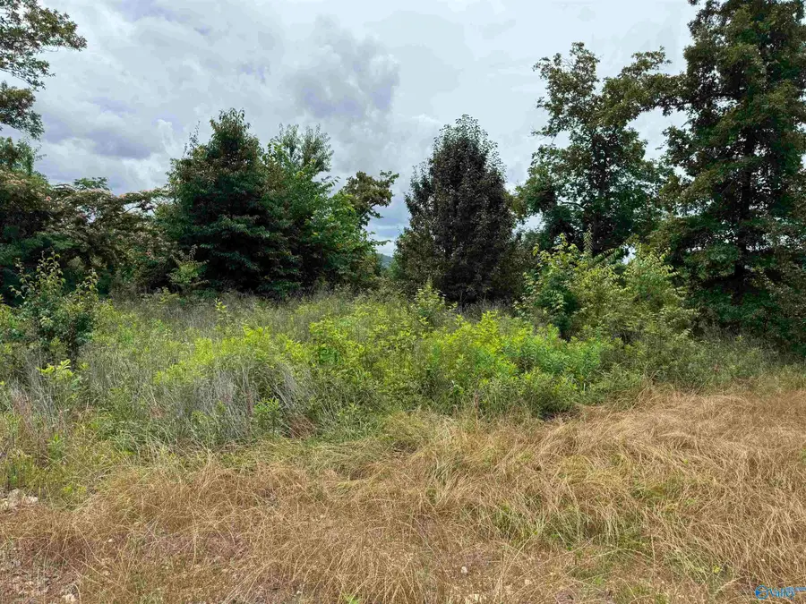 75 Vista Trail, Southside, AL 35907 - #3