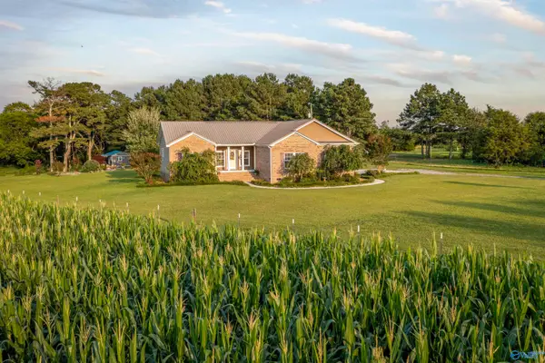 264 Ford Avenue, Albertville, AL 35951