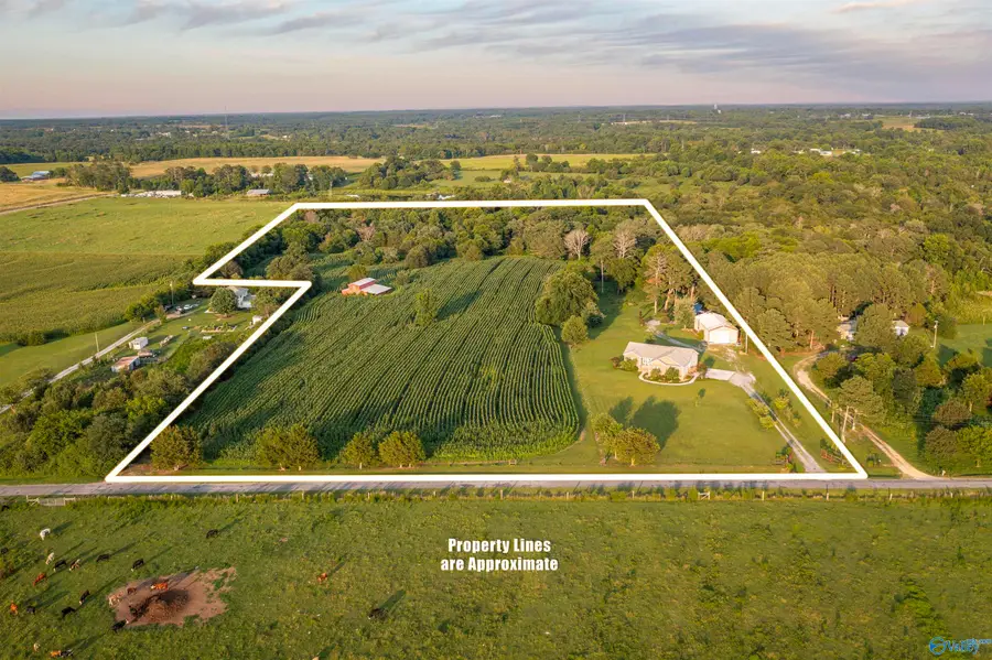 264 Ford Avenue, Albertville, AL 35951 - #3
