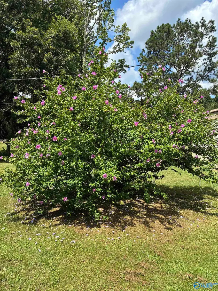 1328 Tidmore Bend Road, Gadsden, AL 35901 - #3