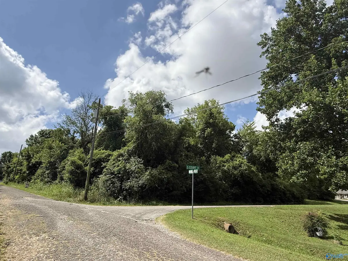 0.47 acres South Court, Gadsden, AL 36904 - #1