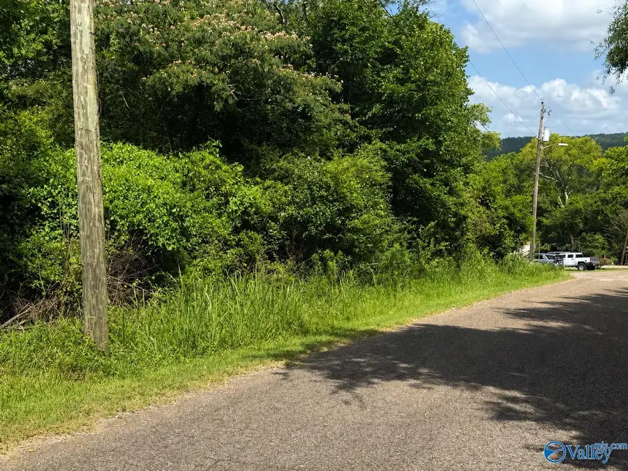 0.47 acres South Court, Gadsden, AL 36904 - #3