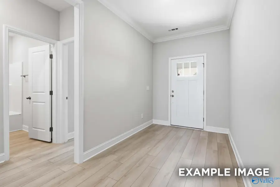 106 Labyrinth Way, Madison, AL 35756 - #3