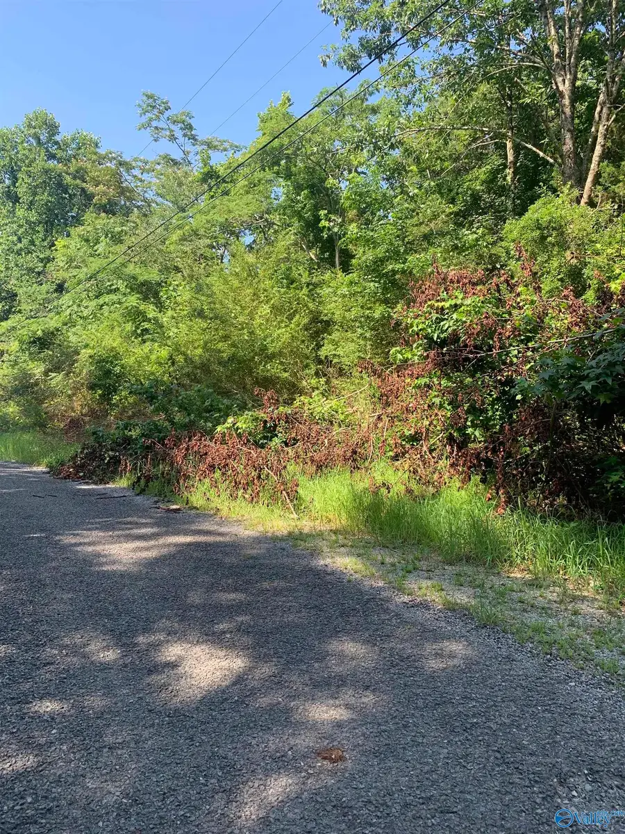 LOTS 32 33 Chawnee Circle, Scottsboro, AL 35768 - #2
