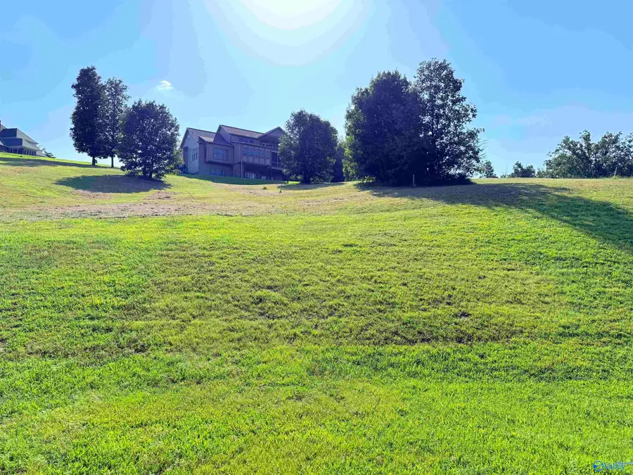 42 Legendary Drive, Guntersville, AL 35976 - #3
