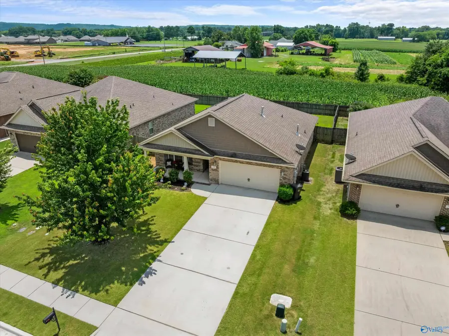 209 Olde Dogwood Trail, Priceville, AL 35603 - #3