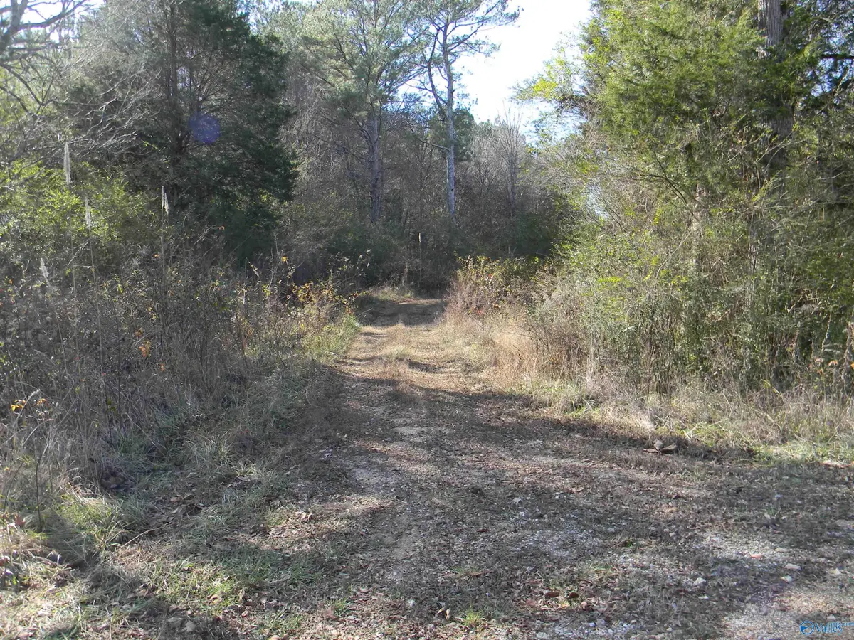 Track 7 County Road 41, Gaylesville, AL 35973 - #1