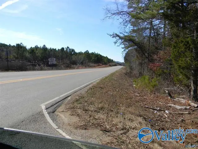 Track 7 County Road 41, Gaylesville, AL 35973 - #3