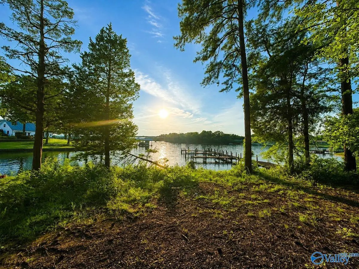 Lot 19 River Pointe Drive, Cedar Bluff, AL 35959 - #1