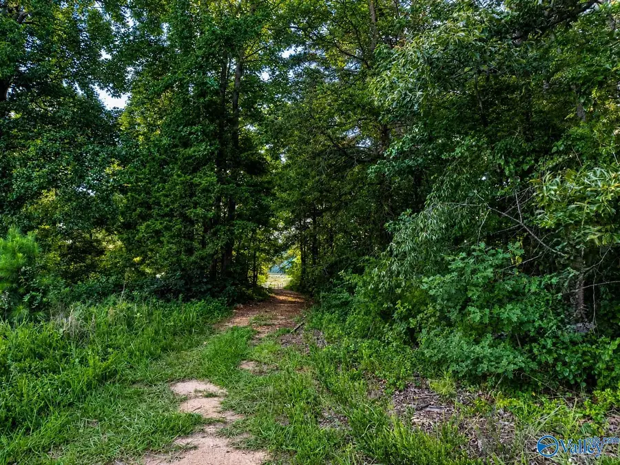 Lot 19 River Pointe Drive, Cedar Bluff, AL 35959 - #2