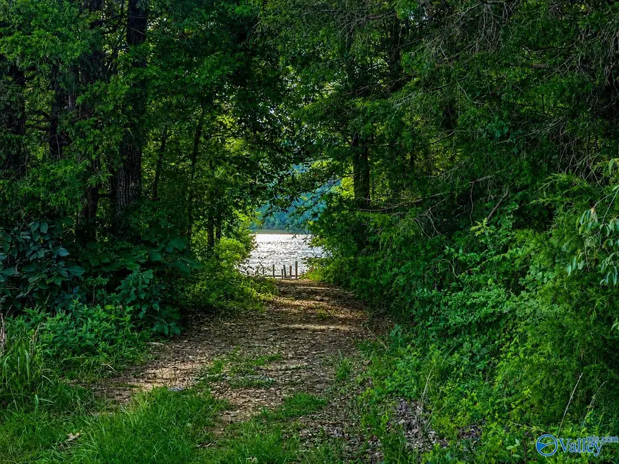 Lot 19 River Pointe Drive, Cedar Bluff, AL 35959 - #3