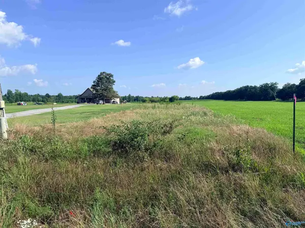 Tract C Quinn Road, Athens, AL 35611