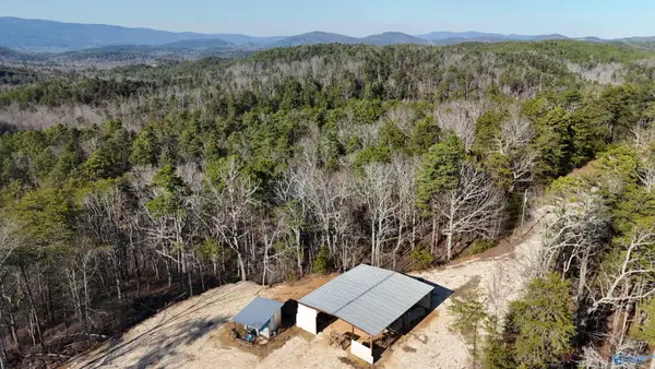 1032 County Road 202, Borden Springs, AL 36272
