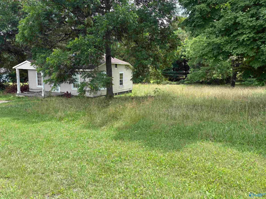 624 Holmes Avenue, Bridgeport, AL 35740 - #3