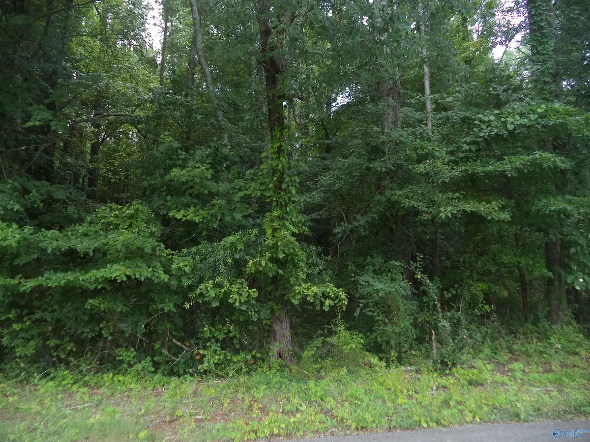 Lot 26 Cottonwood Drive, Hazel Green, AL 35750 - #1