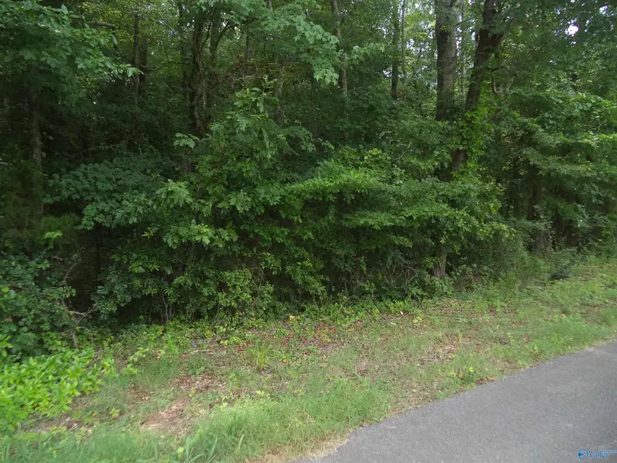 Lot 26 Cottonwood Drive, Hazel Green, AL 35750 - #3