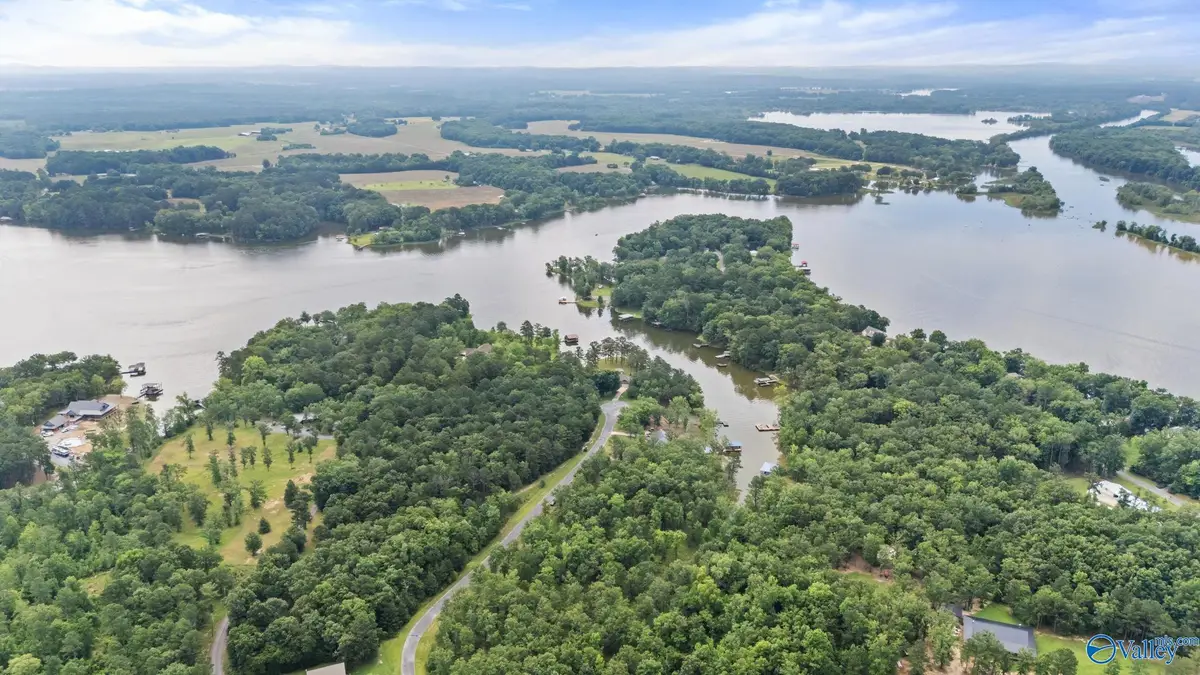 28A County Road 819, Cedar Bluff, AL 35959 - #1