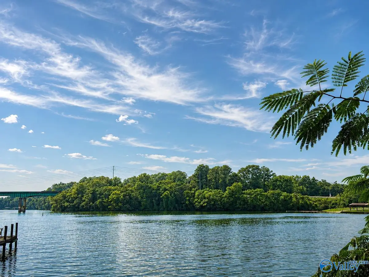 Tract A & B River Pointe Drive, Cedar Bluff, AL 35959 - #1