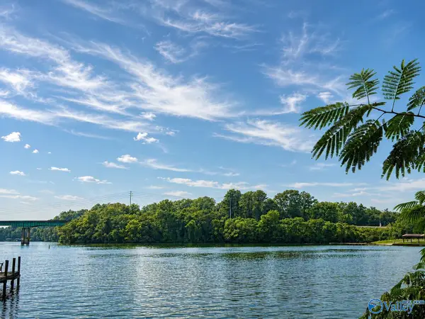 Tract A & B River Pointe Drive, Cedar Bluff, AL 35959