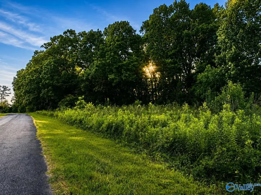 Tract A & B River Pointe Drive, Cedar Bluff, AL 35959 - #2