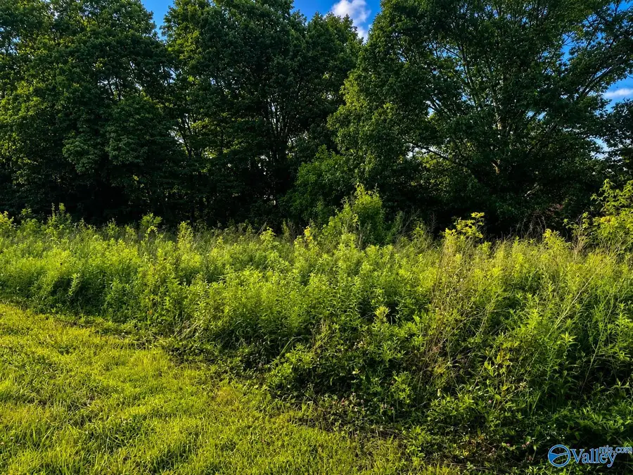 Tract A & B River Pointe Drive, Cedar Bluff, AL 35959 - #3