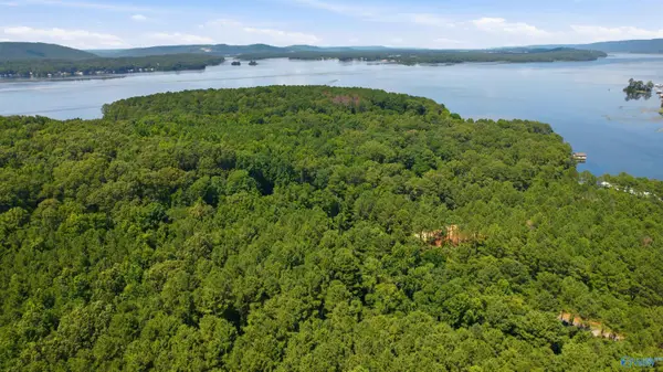 660 John Cabaniss Road, Langston, AL 35755