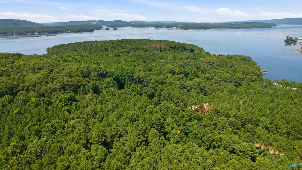 590 John Cabaniss Road, Langston, AL 35755 - #1