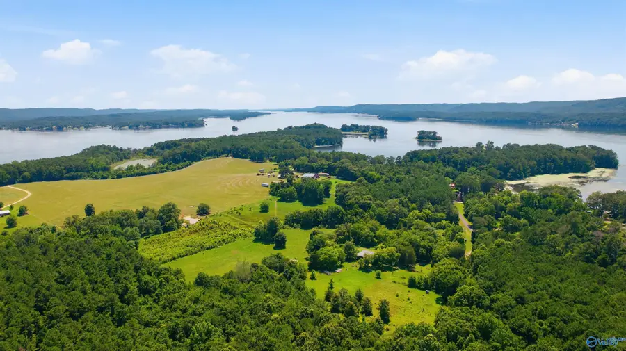 590 John Cabaniss Road, Langston, AL 35755 - #3