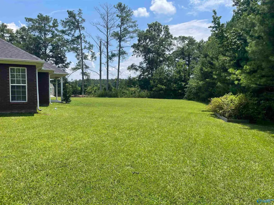 114 Jewell Cobb Court, Owens Cross Roads, AL 35763 - #2