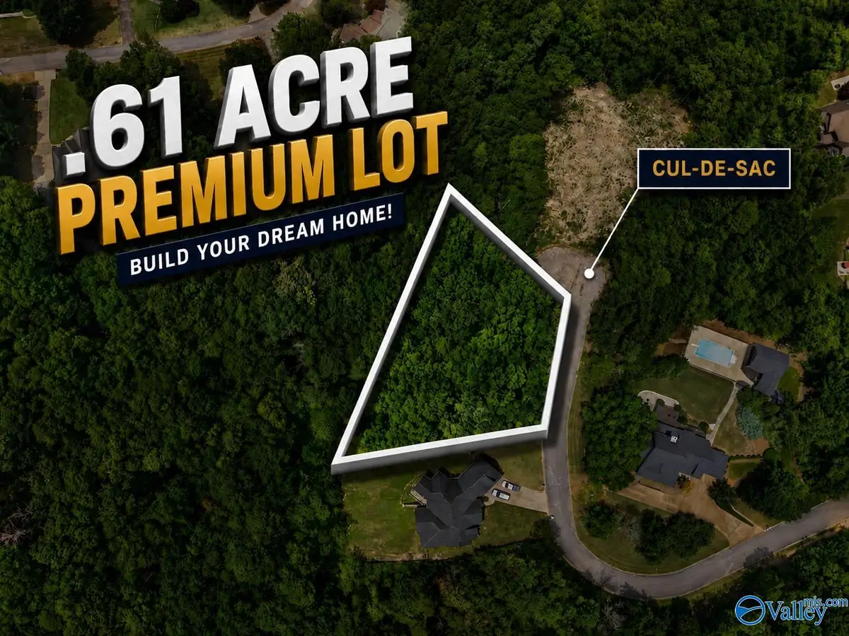 255 Shady Hollow Trail, Glencoe, AL 35905 - #1