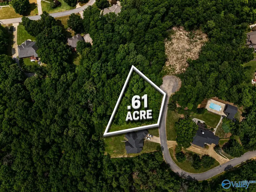 255 Shady Hollow Trail, Glencoe, AL 35905 - #3