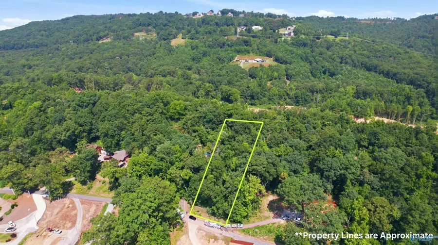 Lot 17 Tanglewood Lane, Guntersville, AL 35976 - #2
